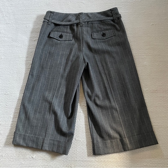 Ann Taylor LOFT Petite Pinstriped Pleated Knee Length Cuff Pants With Belt 2P - Picture 2 of 9